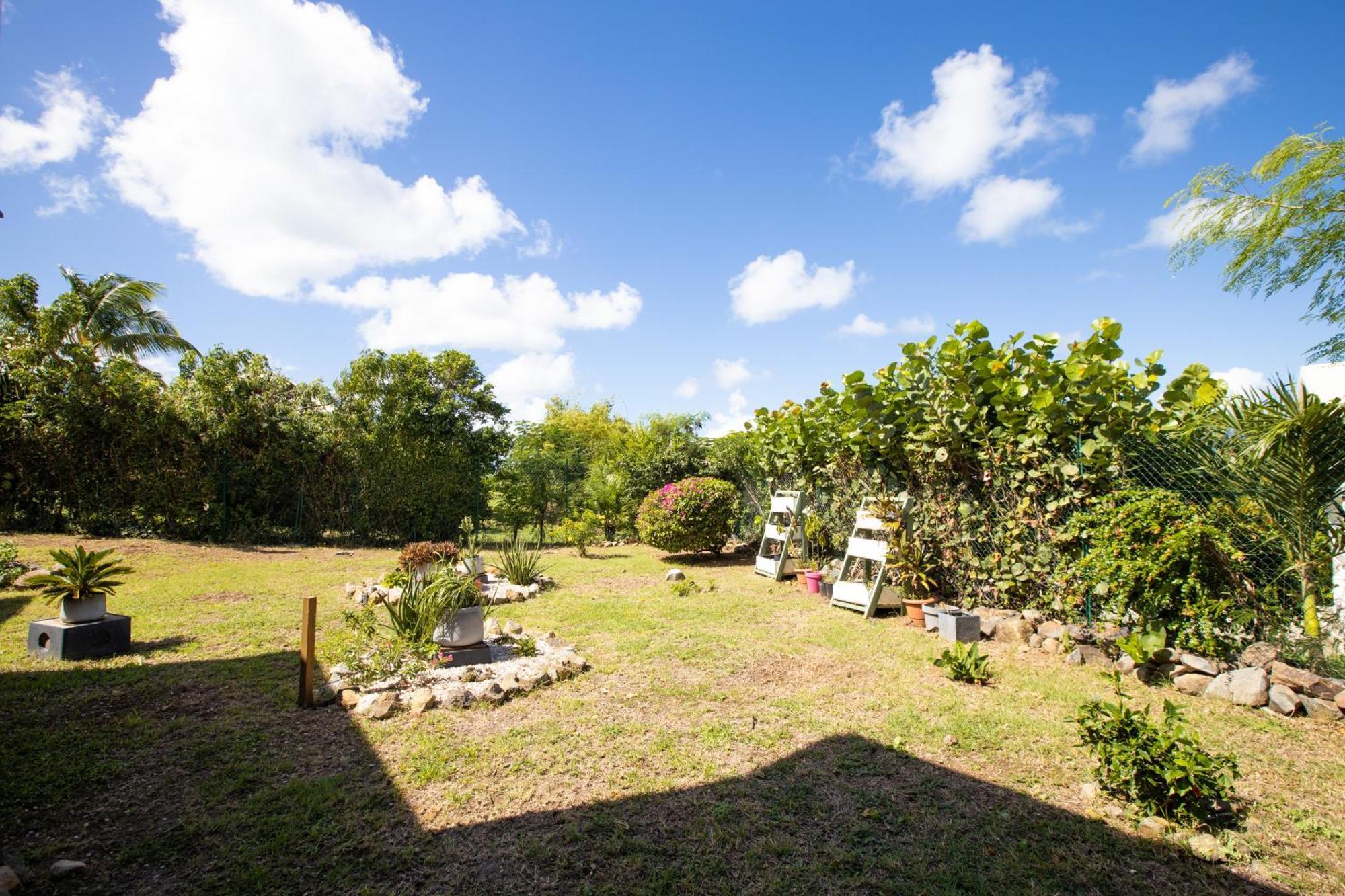 Casa Alegria Friar'S Bay Lejlighed La Savane Eksteriør billede